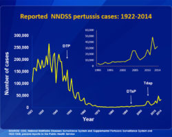 Graph of the incidence of pertussis. 1922 to 2014